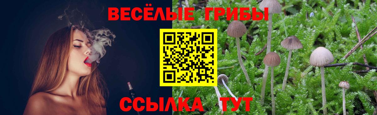 Галлюциногенные грибы Magic Shrooms Пенза